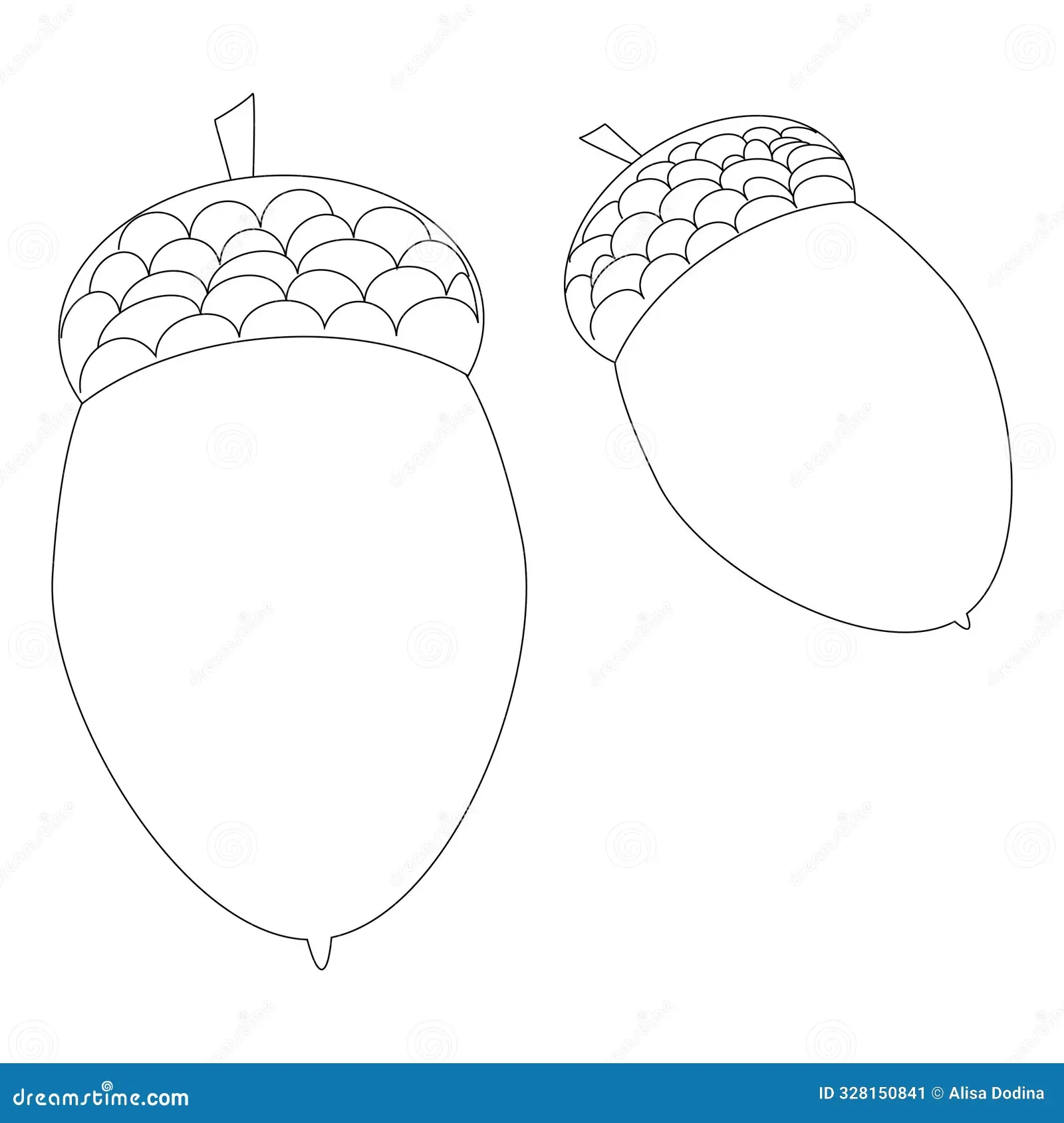 Printable Acorn Coloring Page