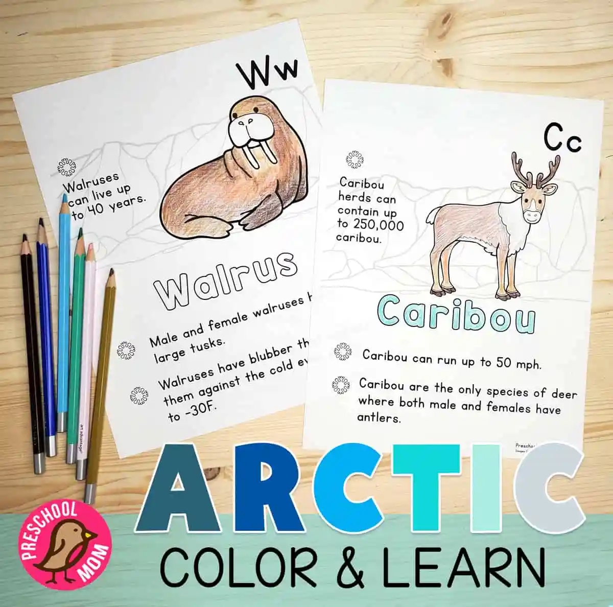 Arctic Animals Coloring Pages Free