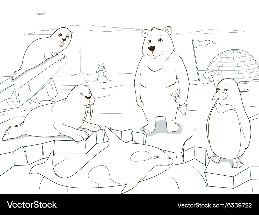 Arctic Animals Coloring Book Educational Game Vector Image