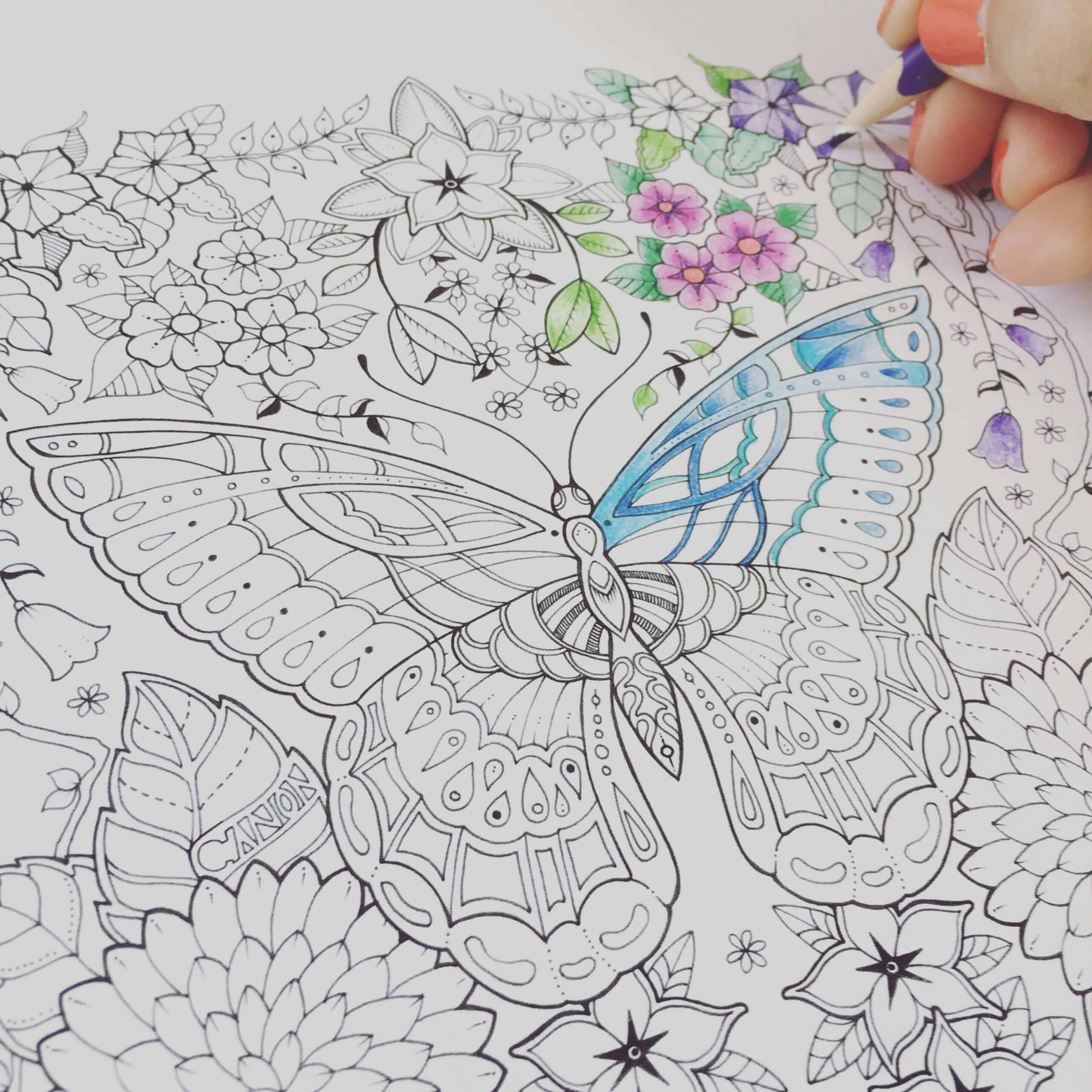 Canon Summer Download Johanna Basford Illustrator U0026 Colouring Book Maker Johanna Basford Illustrator U0026 Colouring Book Maker