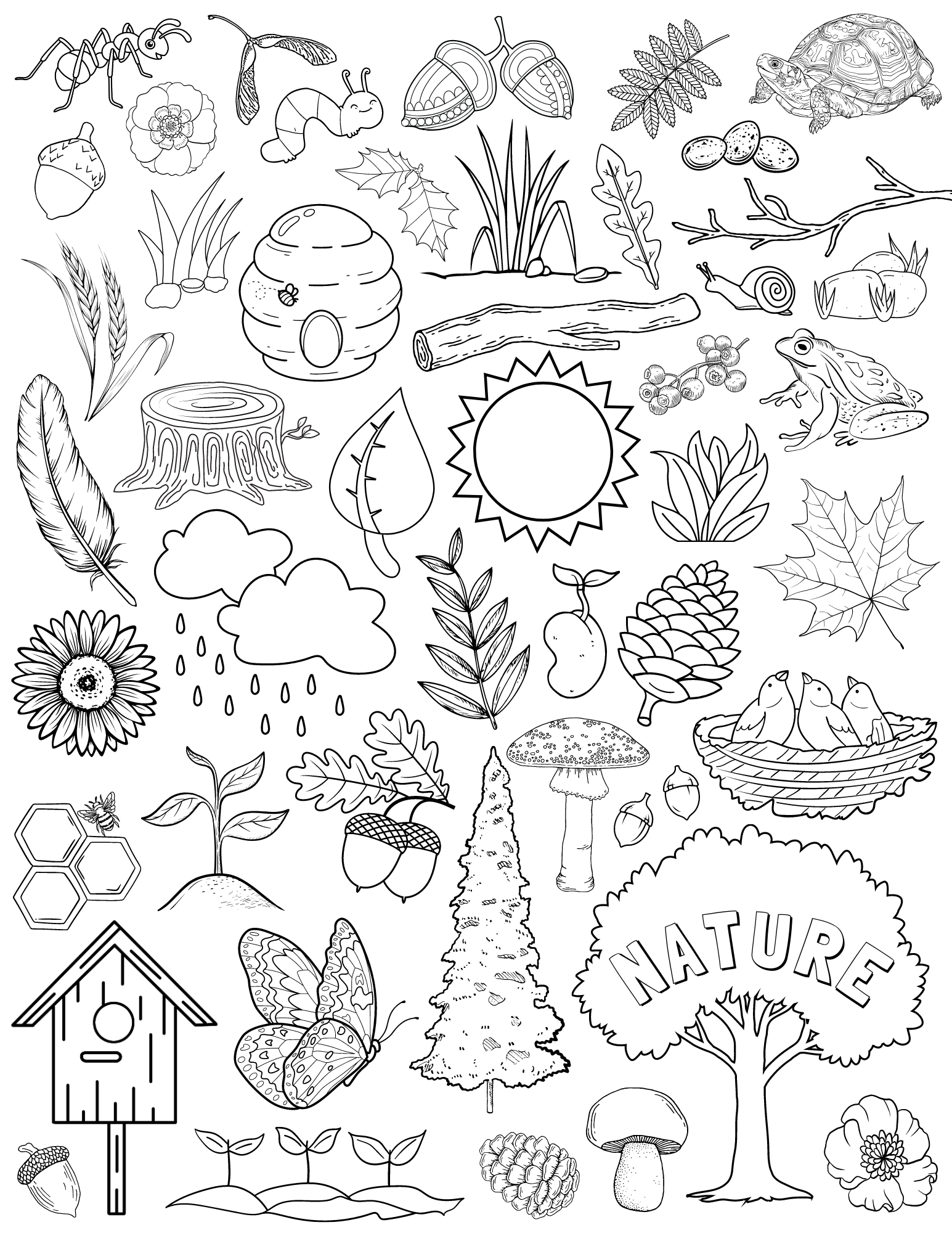 Coloring Pages For All Ages Kaylee Miller Coloring Pages For All Ages Kaylee Miller