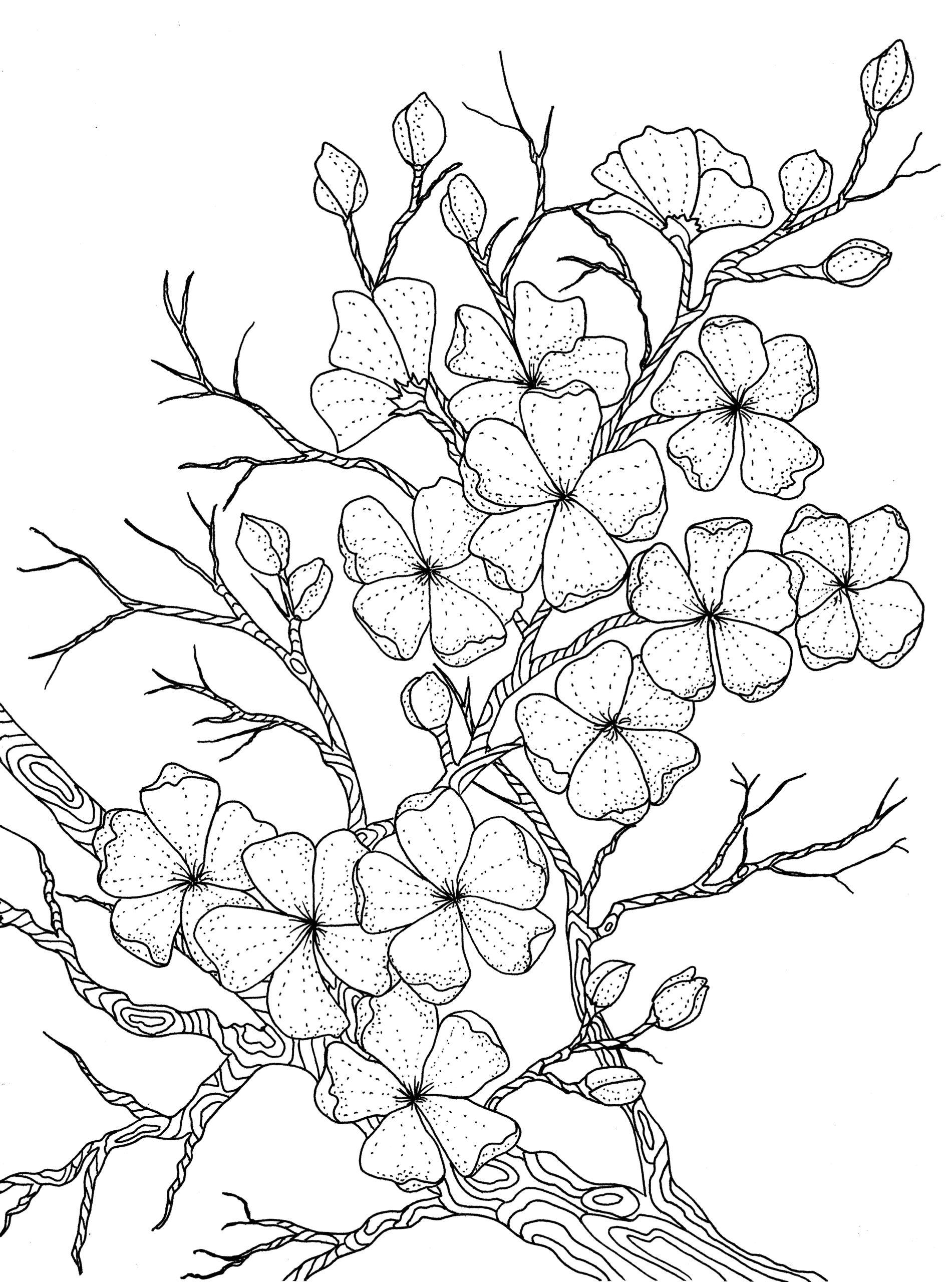 Coloring Pages Happy Family Art Coloring Pages Happy Family Art