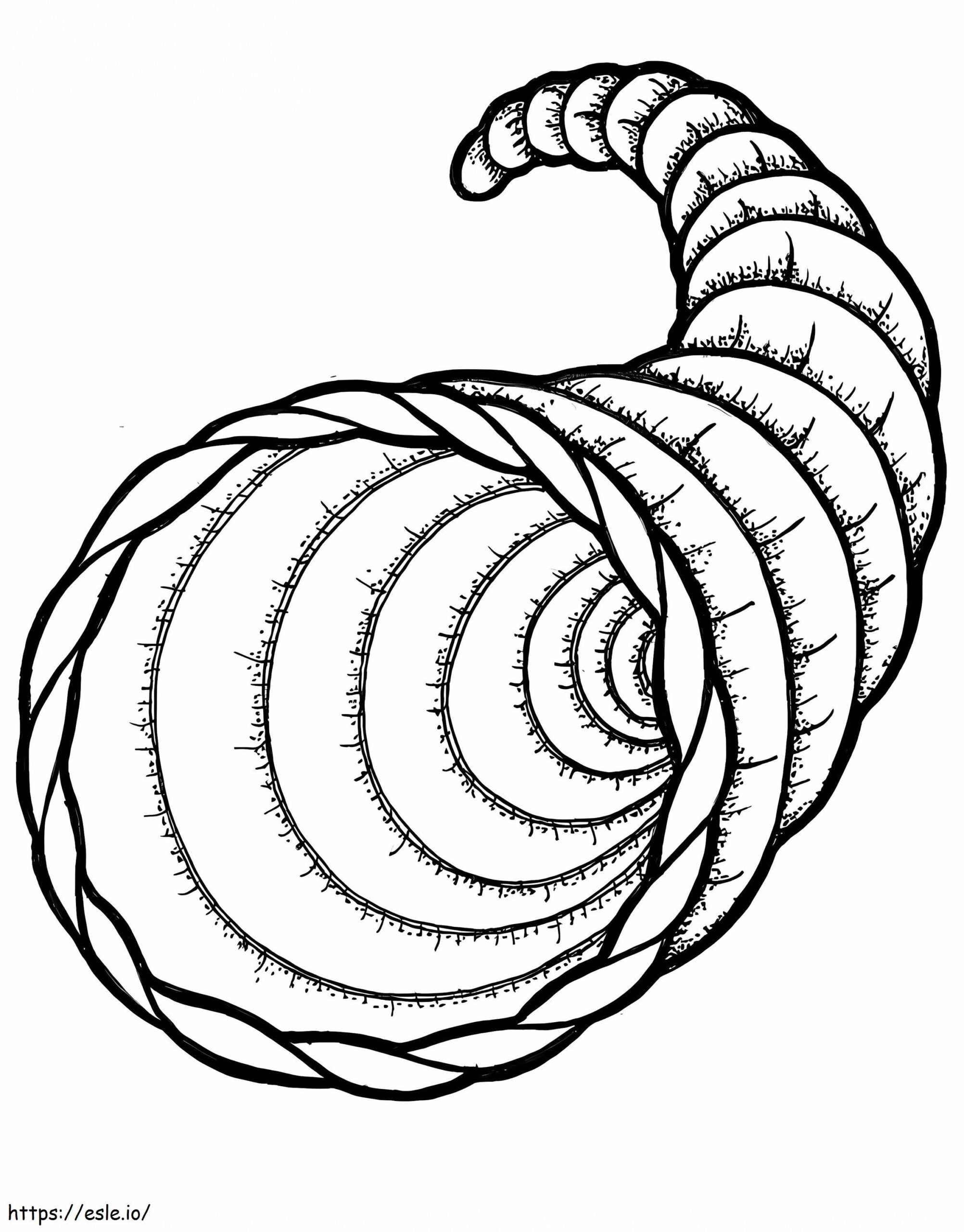 Cornucopia Coloring Page Cornucopia Coloring Page