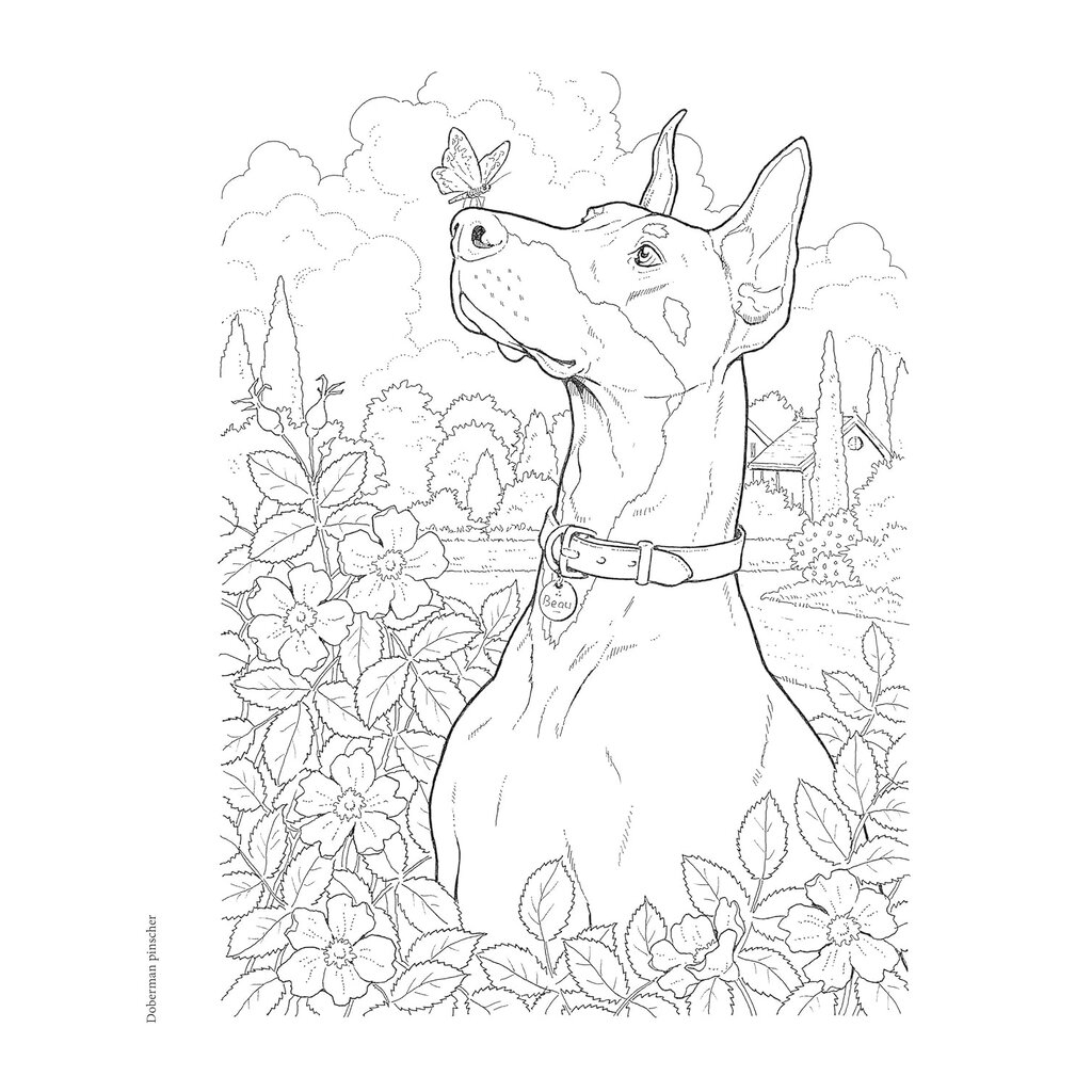Creative Haven Free Coloring Pages Creative Haven Free Coloring Pages