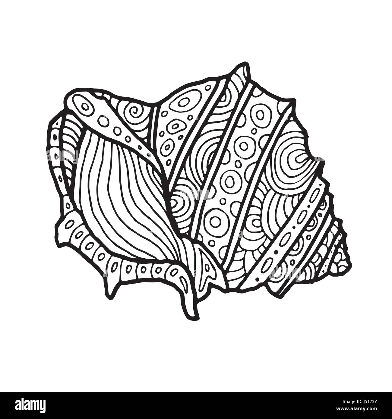 Decorative Zentangle Sea Shell Illustration Outline Drawing Coloring Book For Adult And Children Coloring Page Vector Printable Typography For Pos Stock Vector Image Art Alamy