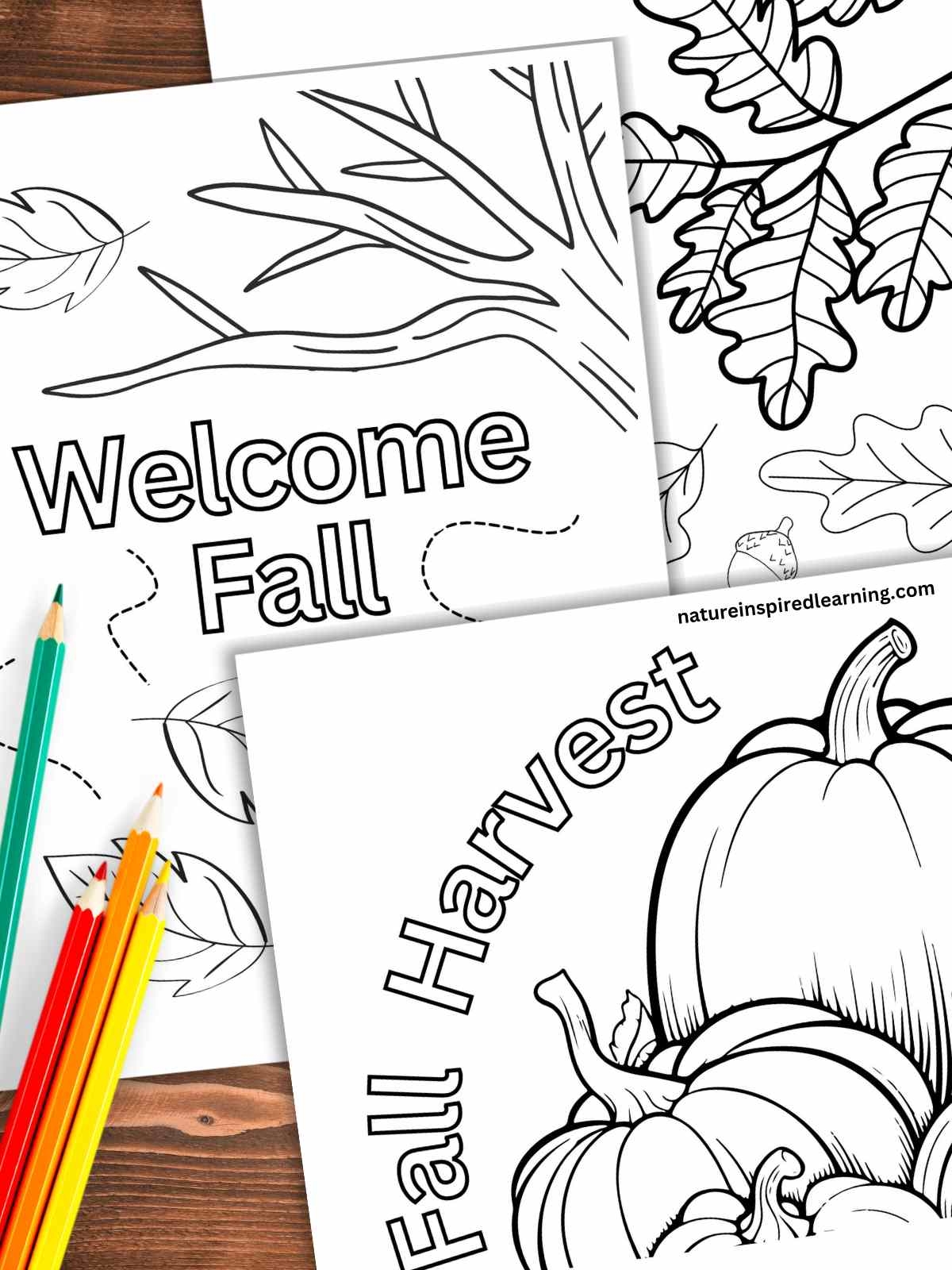 Free Harvest Coloring Pages
