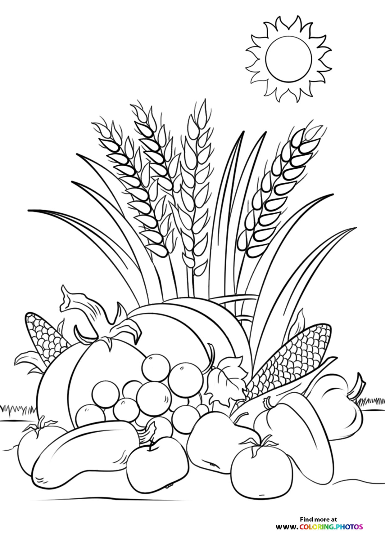 Fall Fruit Harvest Coloring Pages For Kids Fall Fruit Harvest Coloring Pages For Kids