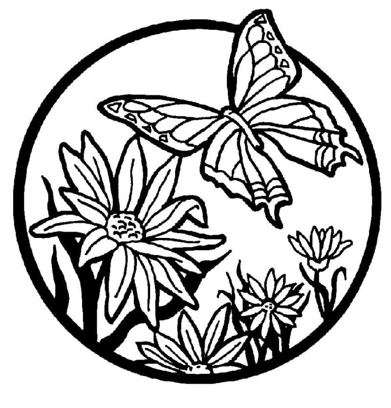 Flower And Butterfly Image Coloring Page Download Print Or Color Online For Free Flower And Butterfly Image Coloring Page Download Print Or Color Online For Free