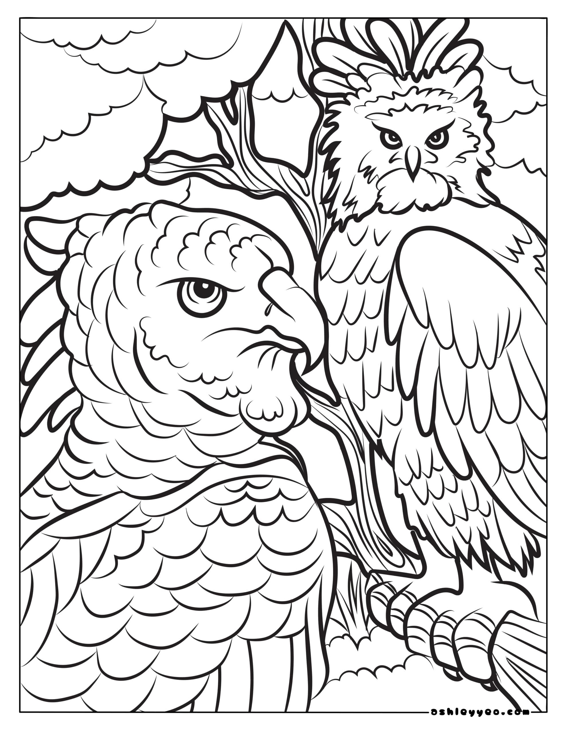 Free Adult Coloring Pages Of Animals Ashley Yeo