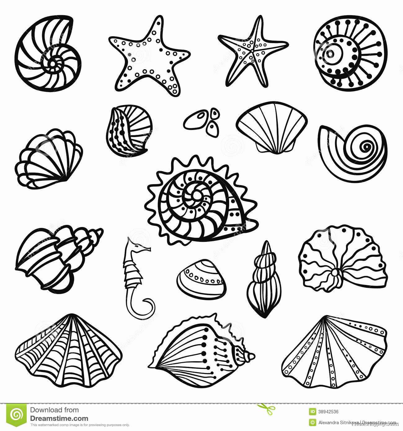 Free Coloring Pages Of Seashells Download Free Coloring Pages Of Seashells Png Images Free ClipArts On Clipart Library Free Coloring Pages Of Seashells Download Free Coloring Pages Of Seashells Png Images Free ClipArts On Clipart Library