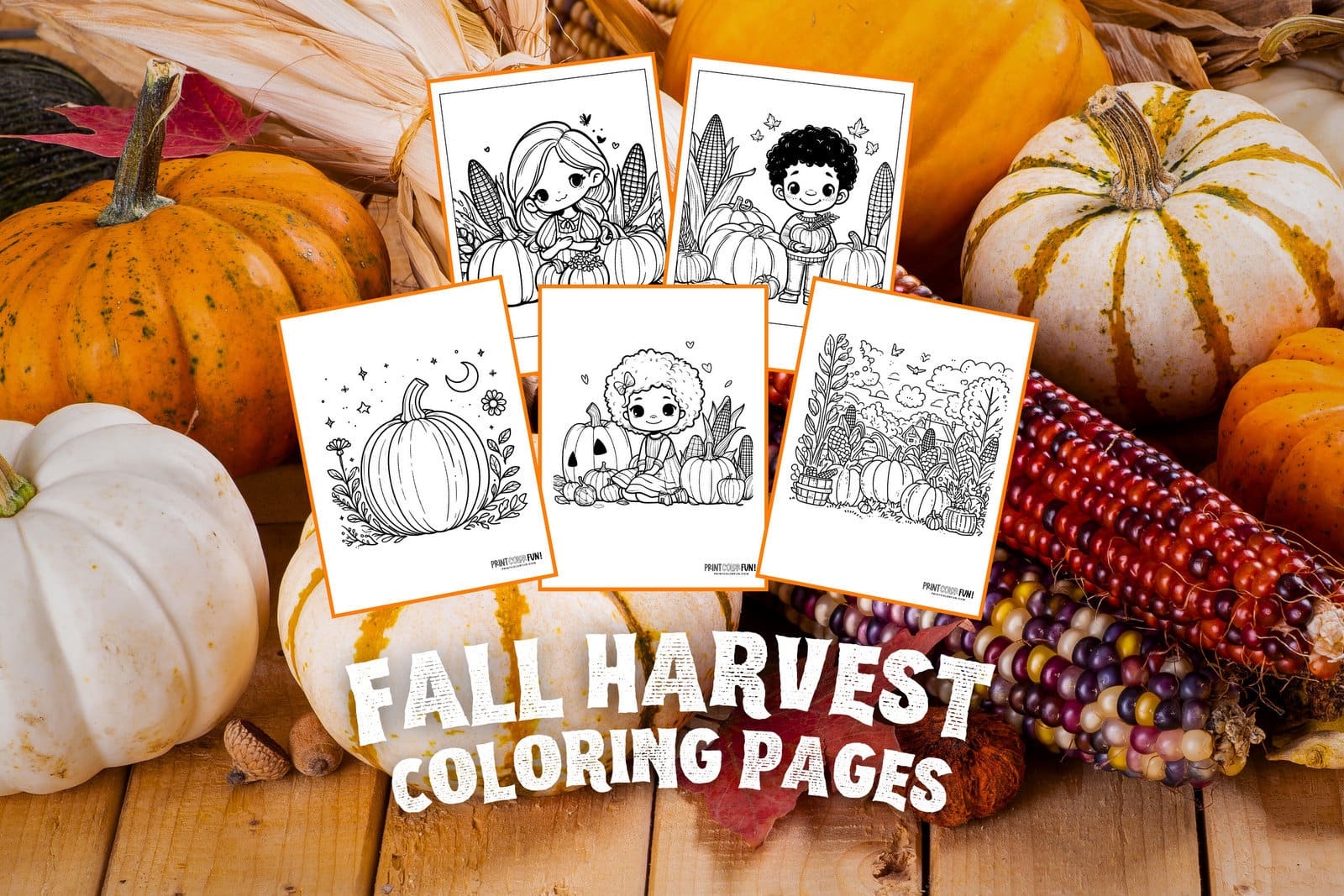 Free Fall Harvest Coloring Pages 22 Autumn Pumpkin Patches Hay Rides Corn Stalks At PrintColorFun Free Fall Harvest Coloring Pages 22 Autumn Pumpkin Patches Hay Rides Corn Stalks At PrintColorFun