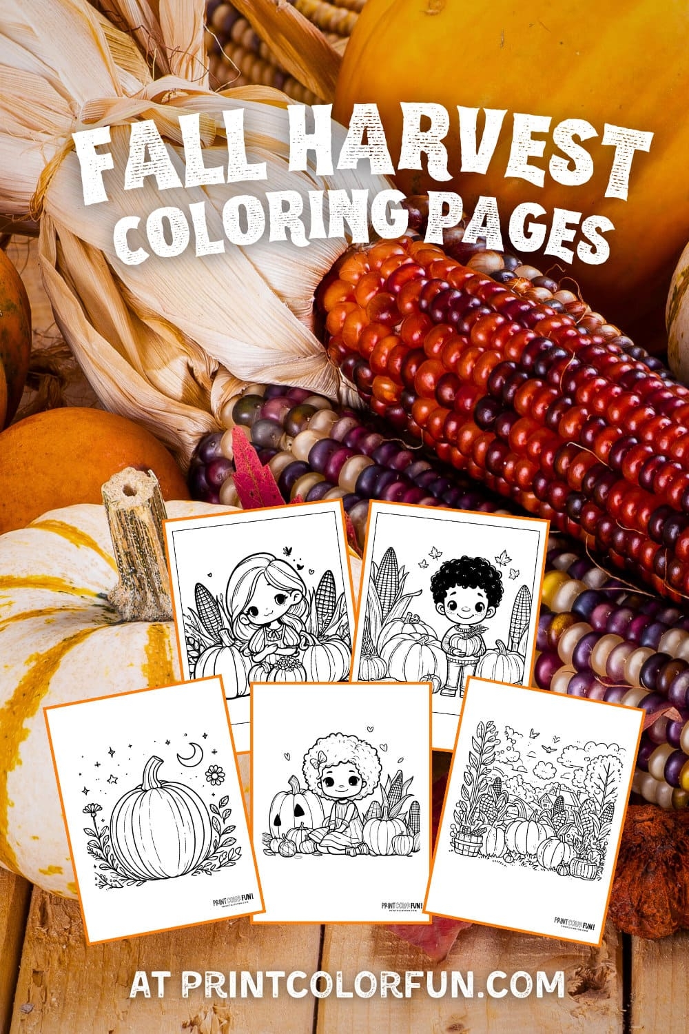 Free Fall Harvest Coloring Pages 22 Autumn Pumpkin Patches Hay 