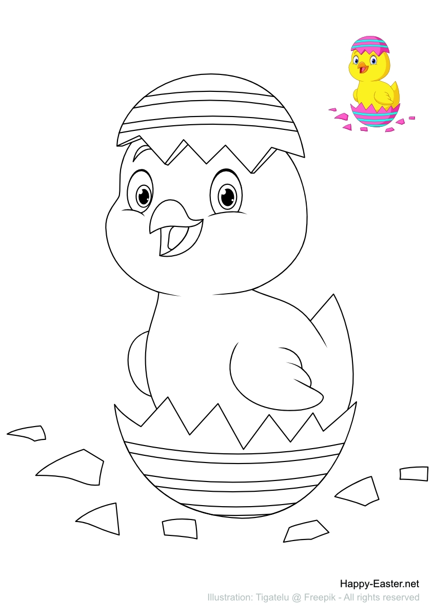 Chick Coloring Pages Printable Chick Coloring Pages Printable