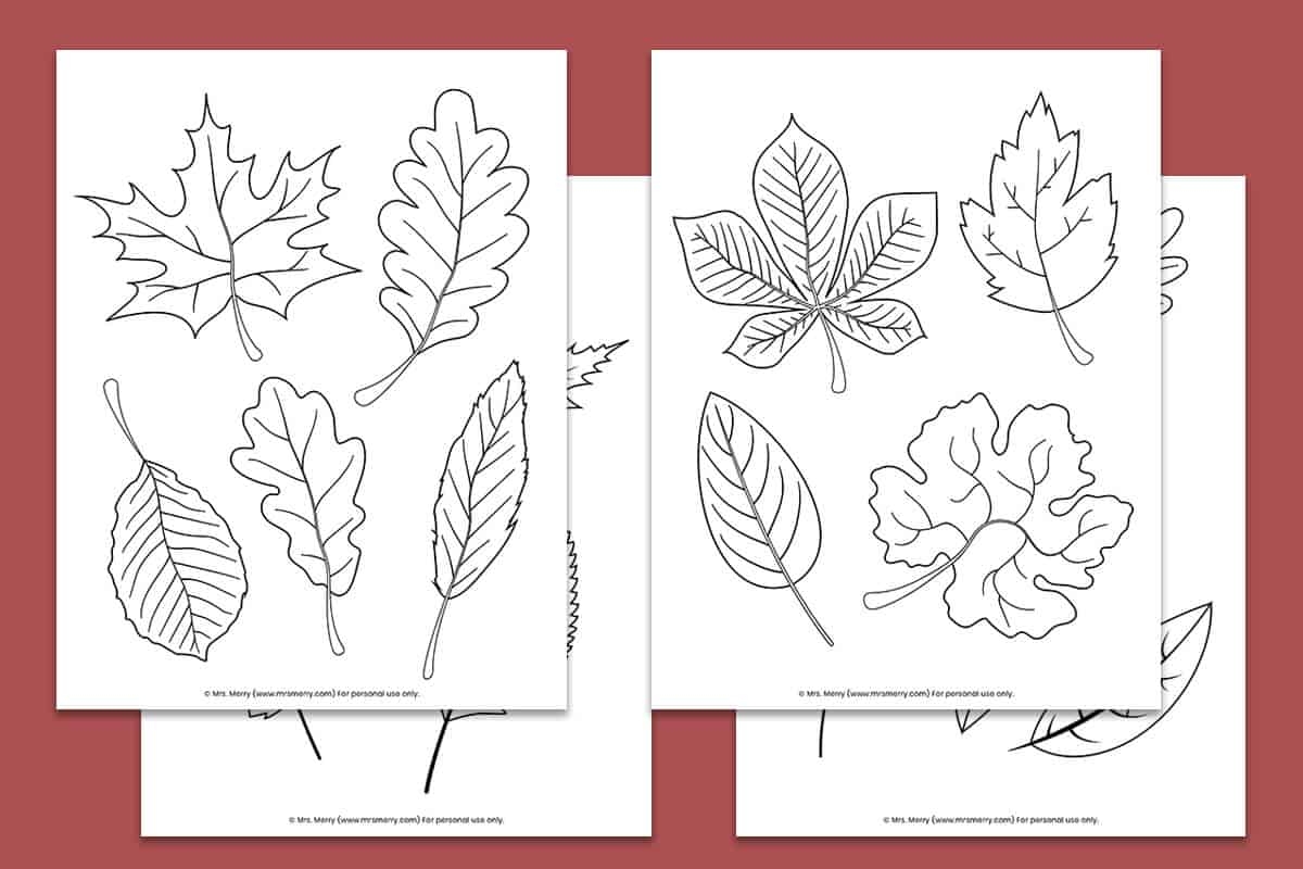 free printable fall leaves coloring pages mrs merry