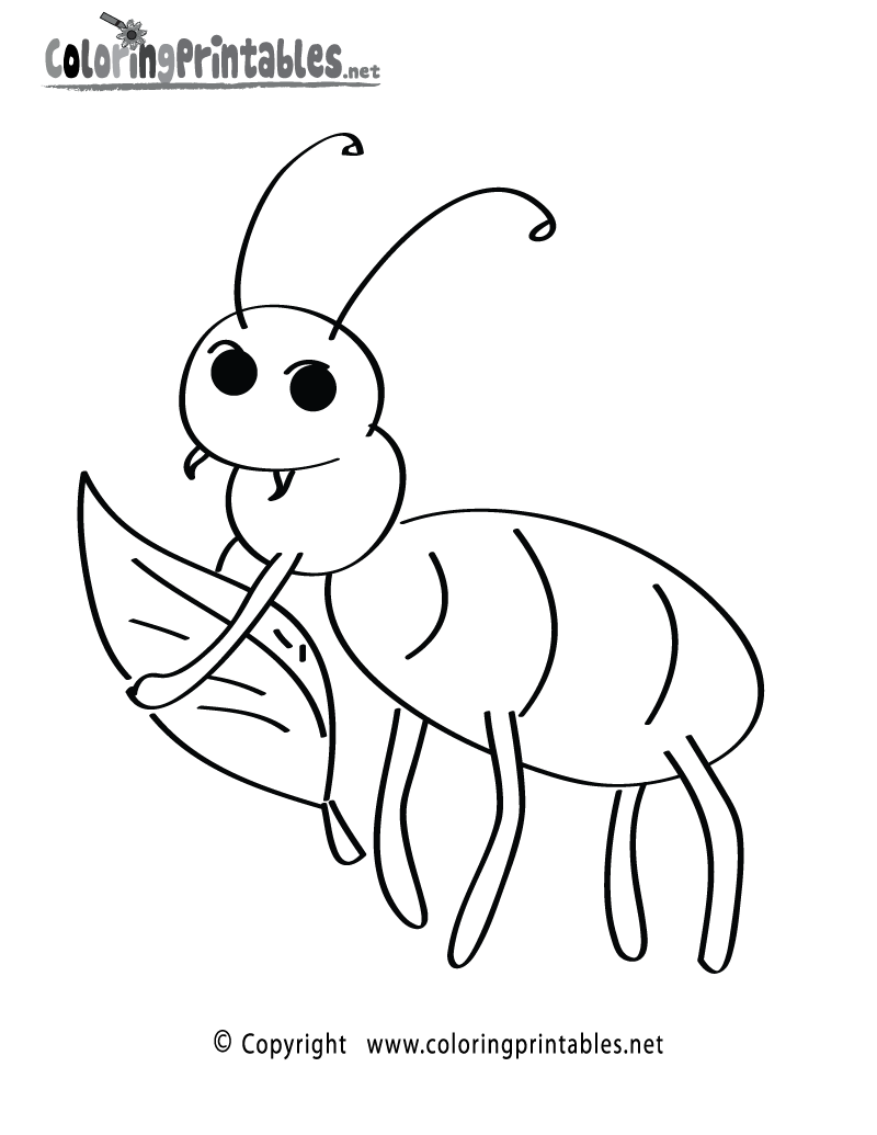 Free Printable Fun Insect Coloring Page