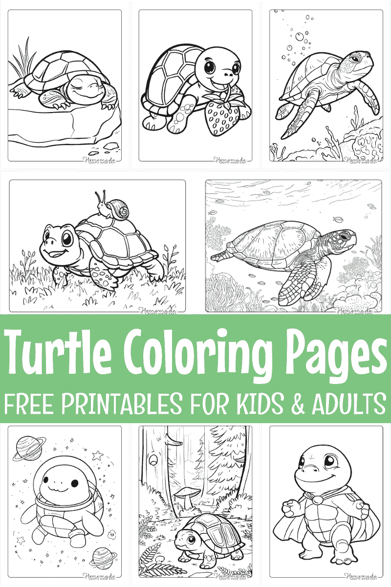 Printable Sea Turtle Coloring Pages For Adults