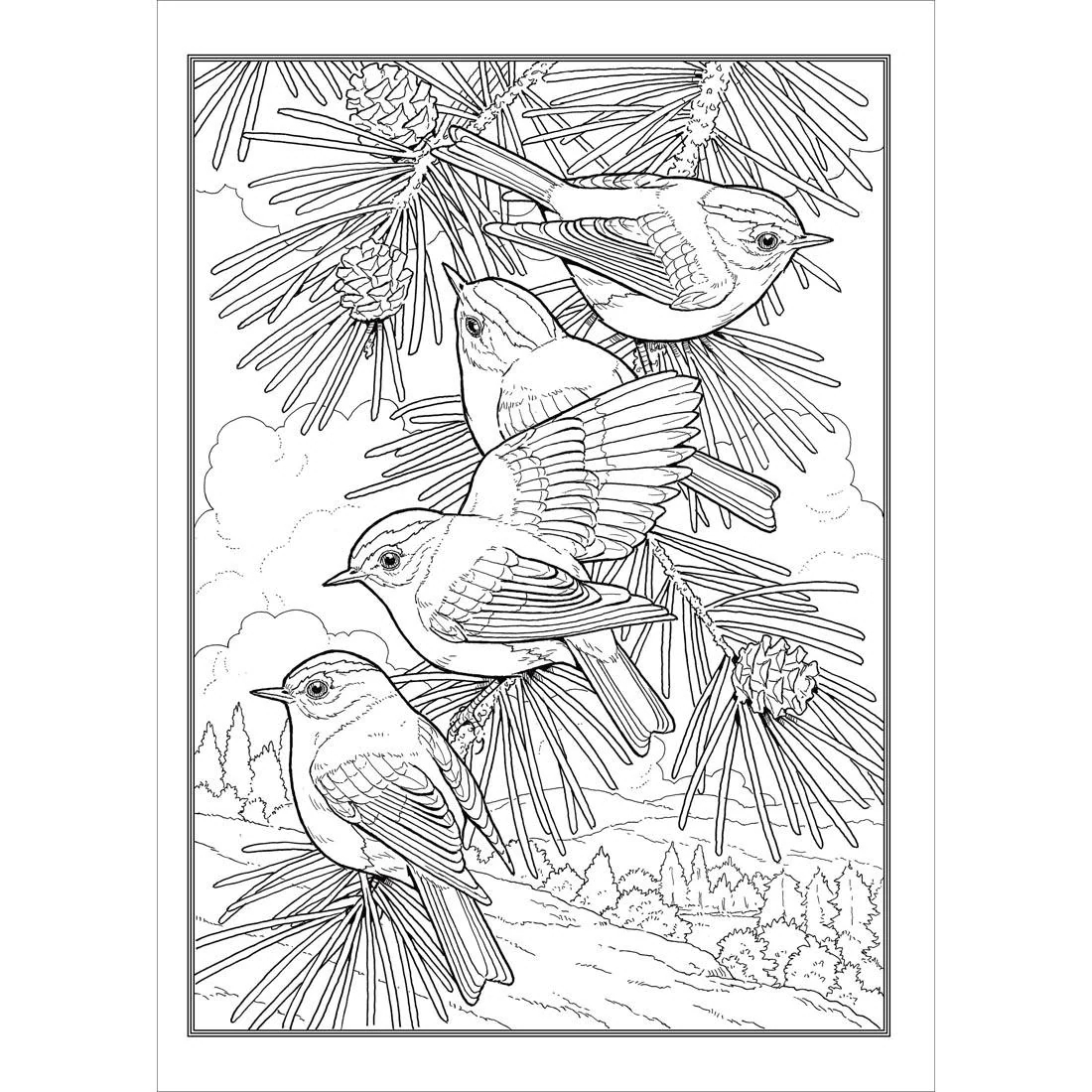 Glorious Songbirds Creative Haven Coloring Book By Dover Glorious Songbirds Creative Haven Coloring Book By Dover