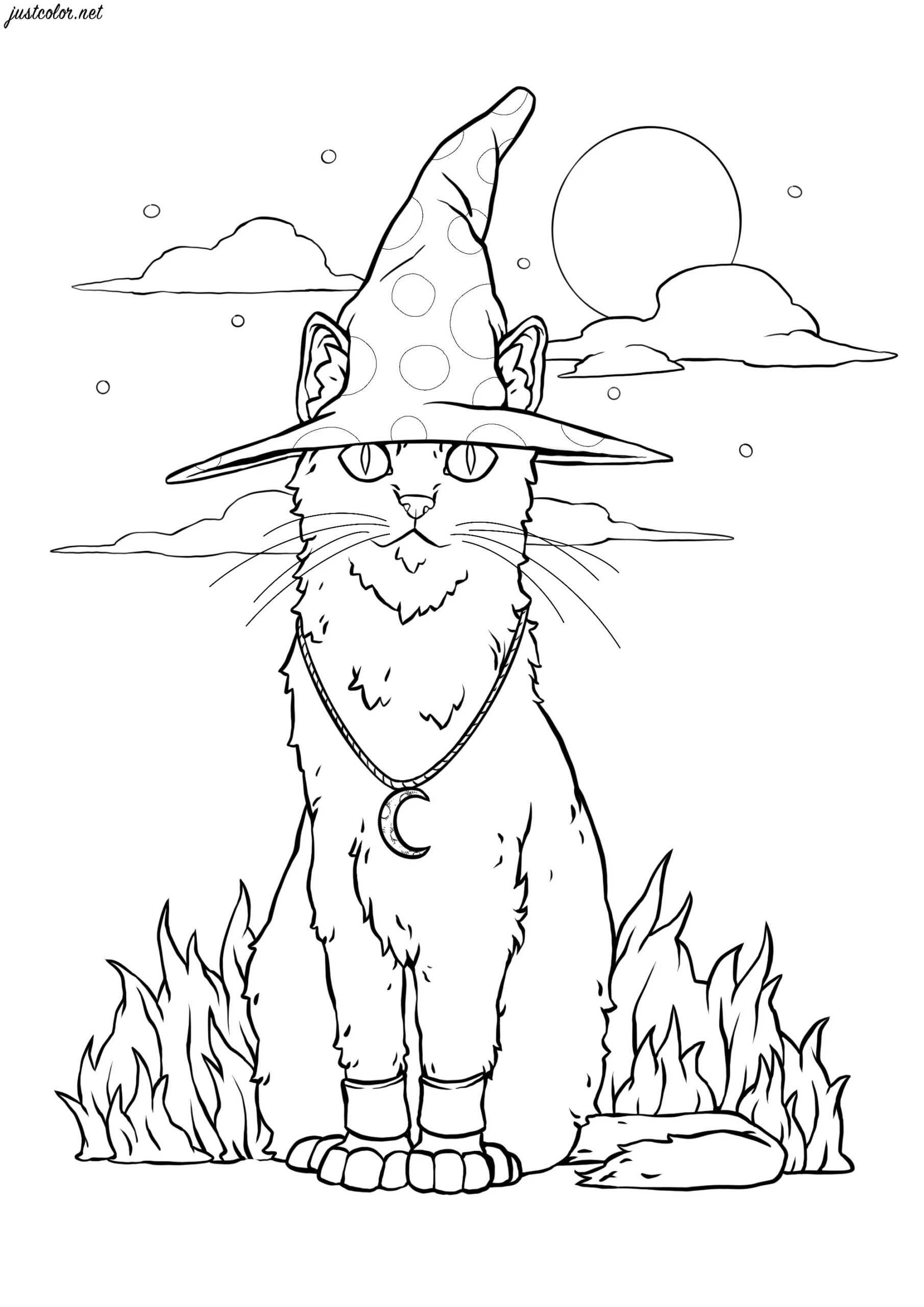 Halloween Witch Cat Halloween Coloring Pages For Kids Halloween Witch Cat Halloween Coloring Pages For Kids