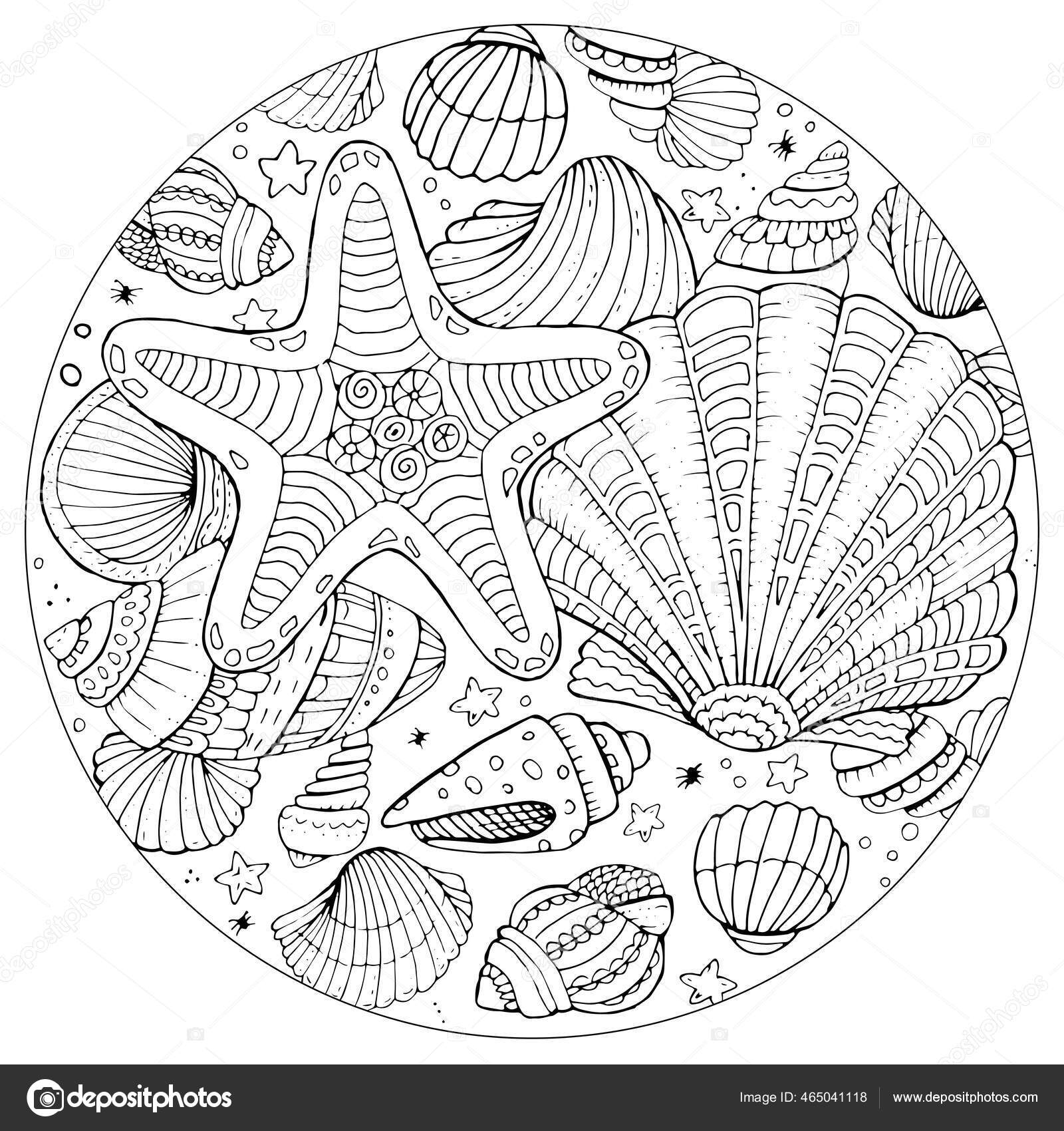 Seashell Printable Coloring Pages Seashell Printable Coloring Pages