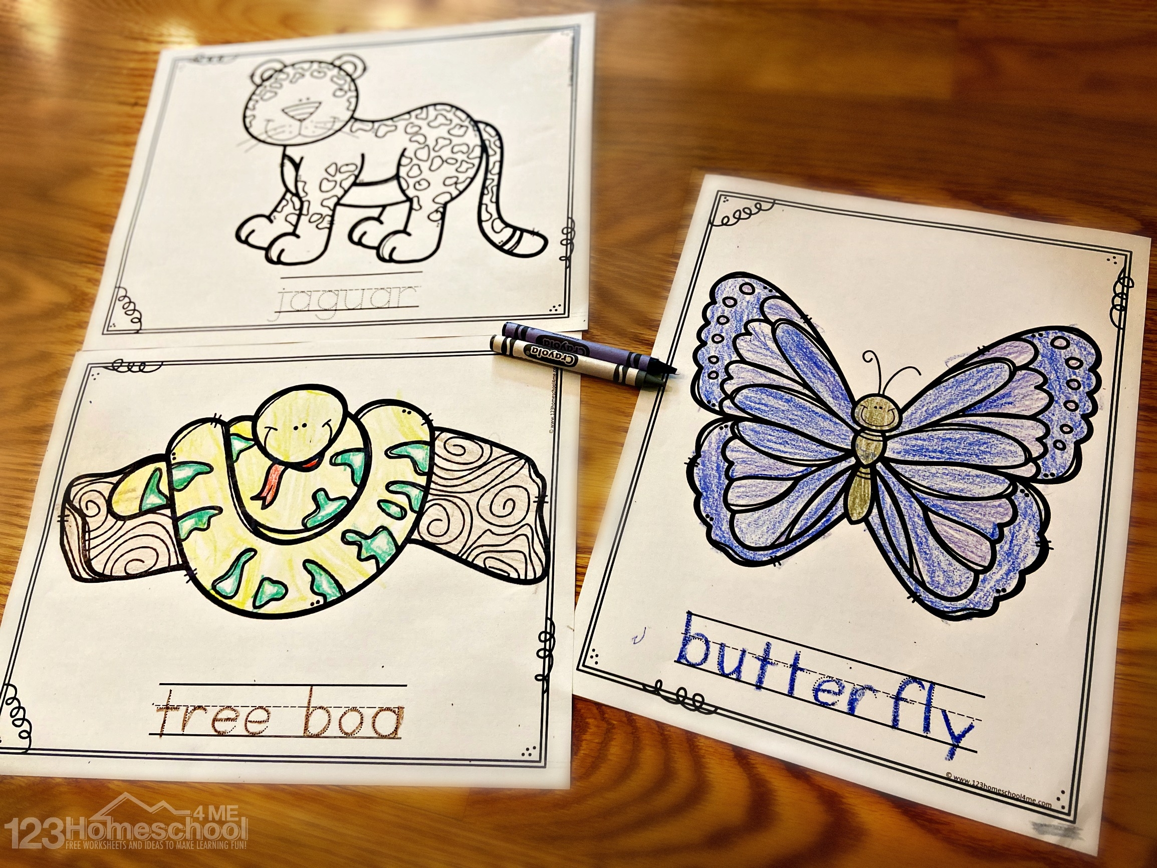 Free Jungle Coloring Pages
