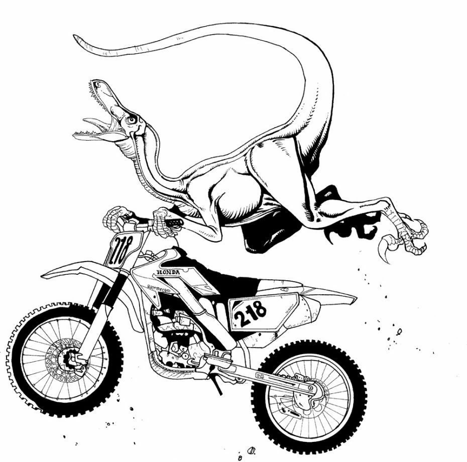 Motocross 136610 Transportation Free Printable Coloring Pages