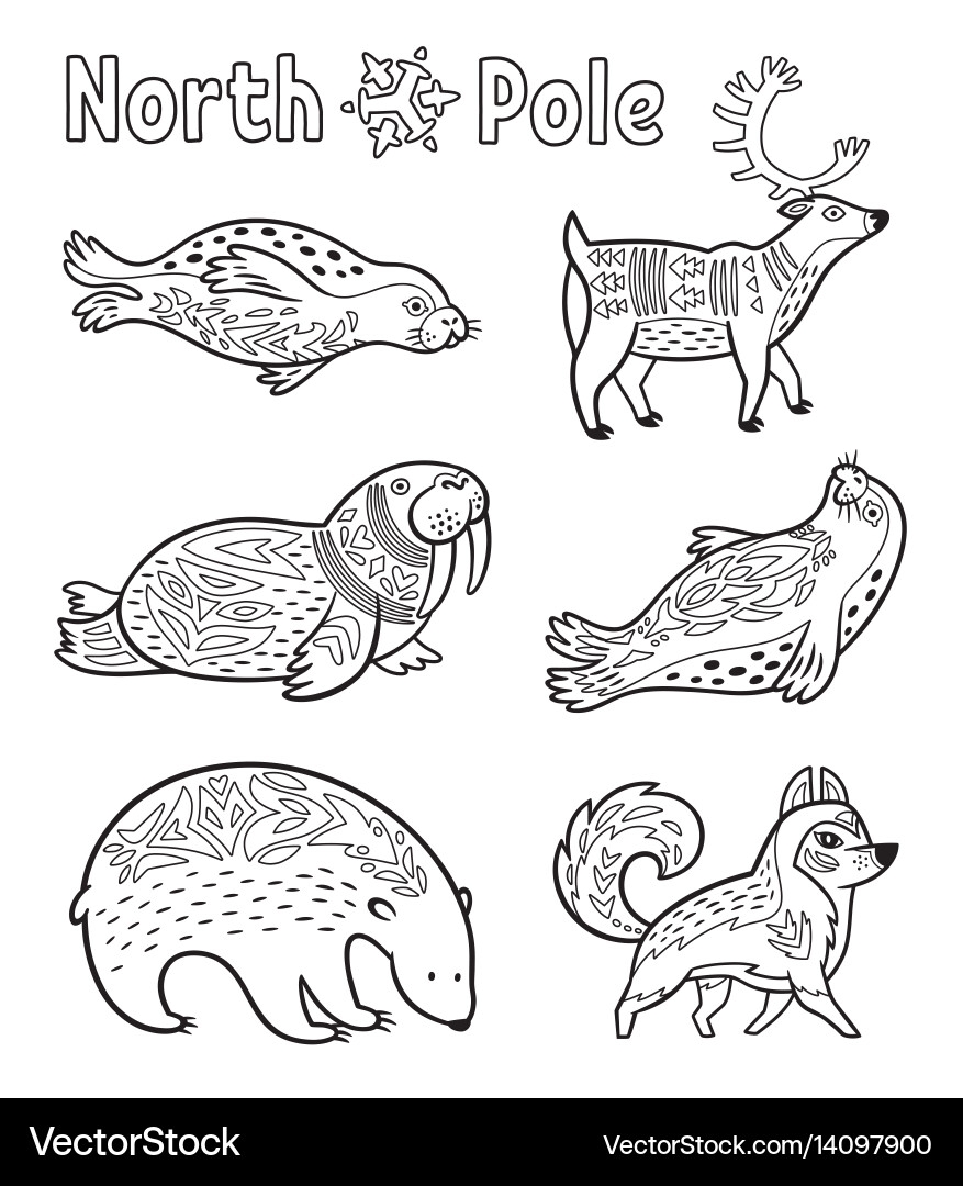Outline Arctic Animals Set For Coloring Page Vector Image