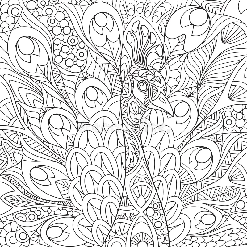 Free Peacock Coloring Pages