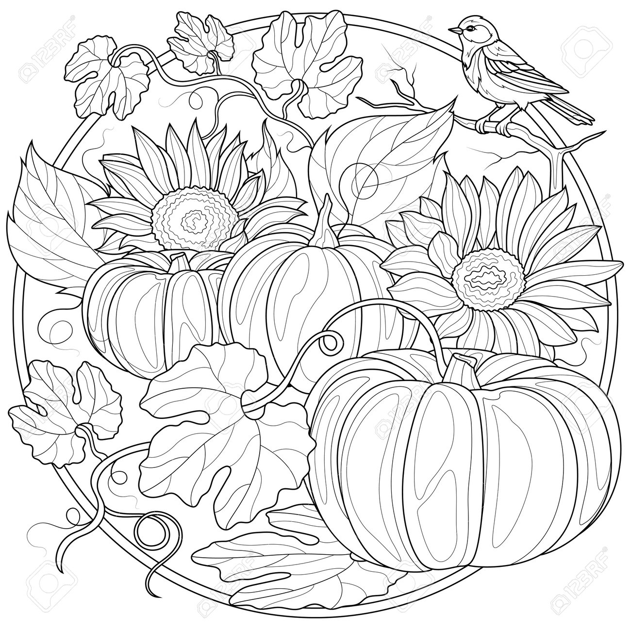 Pumpkins Sunflowers And A Bird Harvest Coloring Book Antistress 