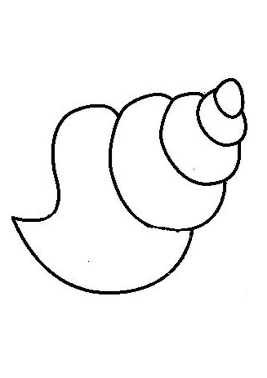 Sea Shell Coloring Sheet 548799