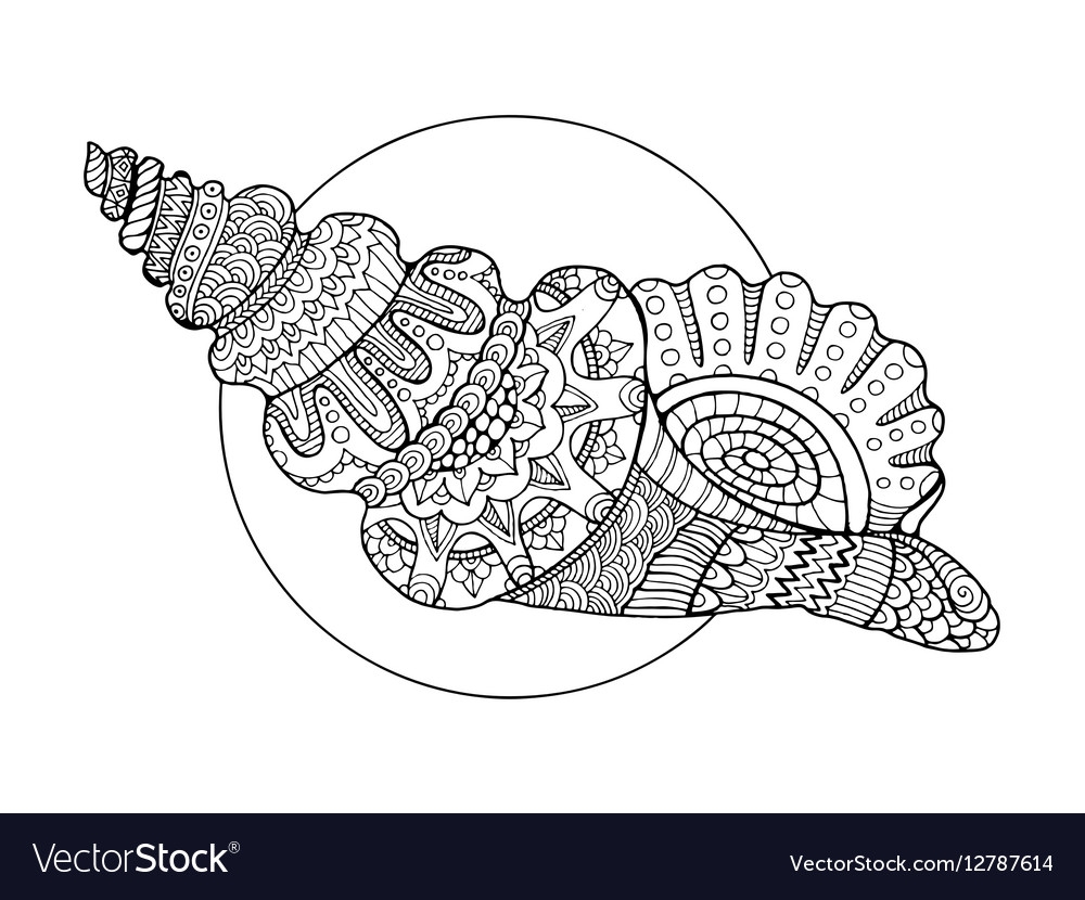 Free Seashell Coloring Pages Free Seashell Coloring Pages