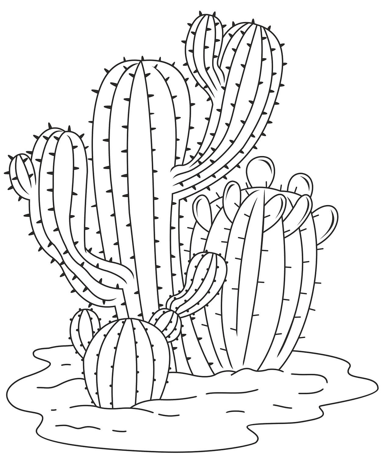 Simple Cactus Coloring Page Download Print Or Color Online For Free
