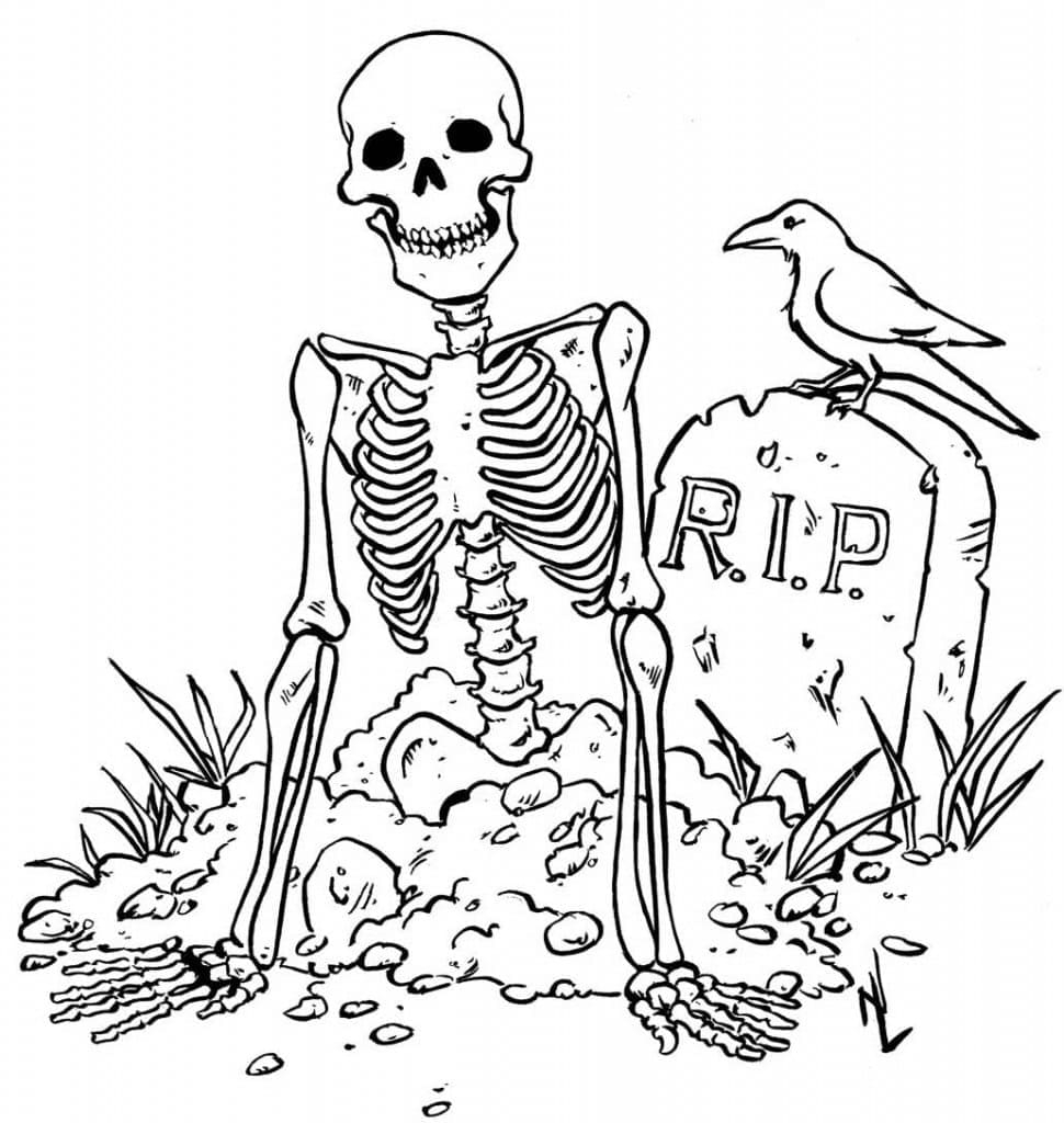 Skeleton And Crow Coloring Page Download Print Or Color Online For Free