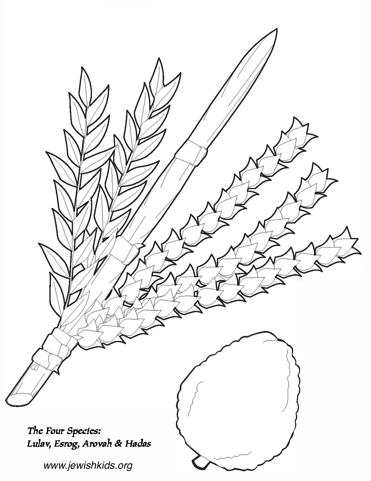 Sukkot Coloring Pages Crafts Coloring Pages Jewish Kids Sukkot Coloring Pages Crafts Coloring Pages Jewish Kids
