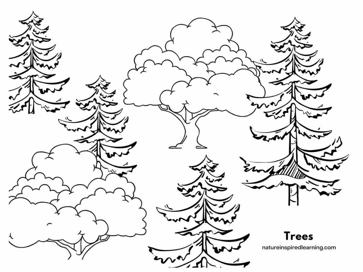 Printable Forest Coloring Pages